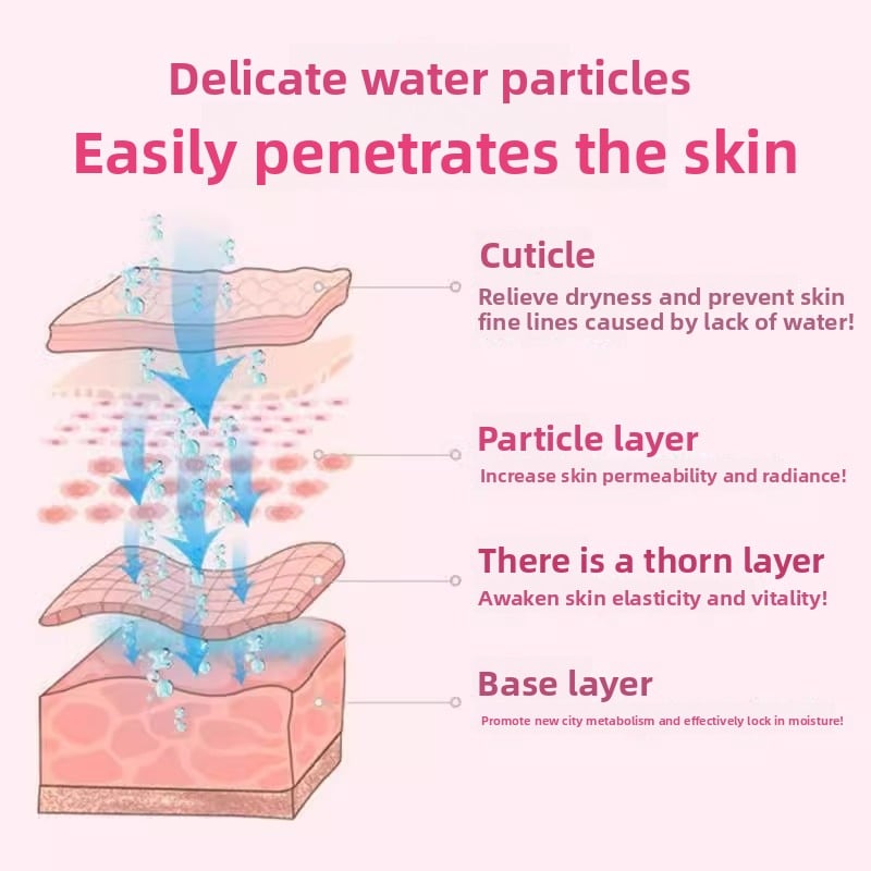 Portable Nano Spray Facial Humidifier with Cold Mist and USB Recharge